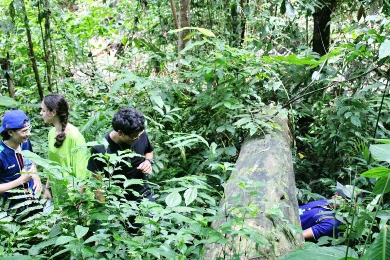 chiang-mai-atv-tour-trekking