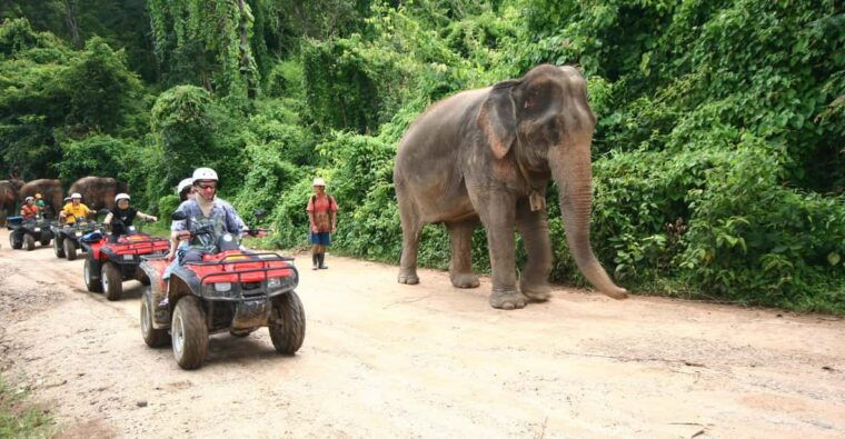 chiang-mai-atv-tour-trekking
