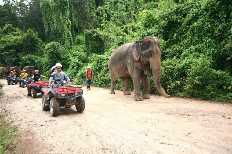 chiang-mai-atv-tour-whitewater-rafting