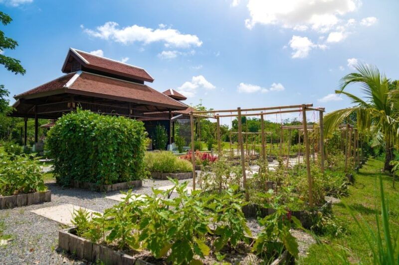 chiang-mai-authentic-thai-cooking-class-and-farm-visit