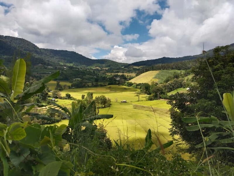 Chiang Mai Authentic Trekking - Key Points