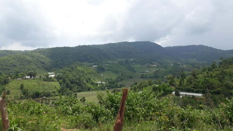 Chiang Mai Authentic Trekking - Who Is This Tour Best Suited For?