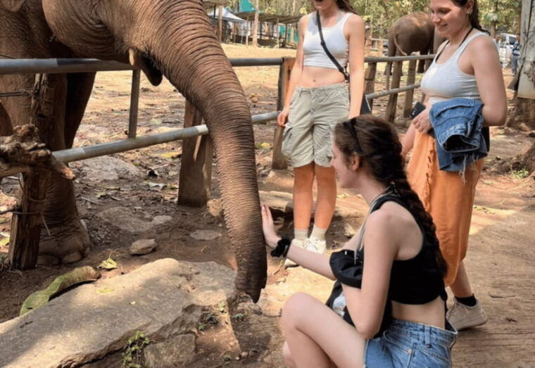 chiang-mai-bamboo-rafting-with-hotel-transfers