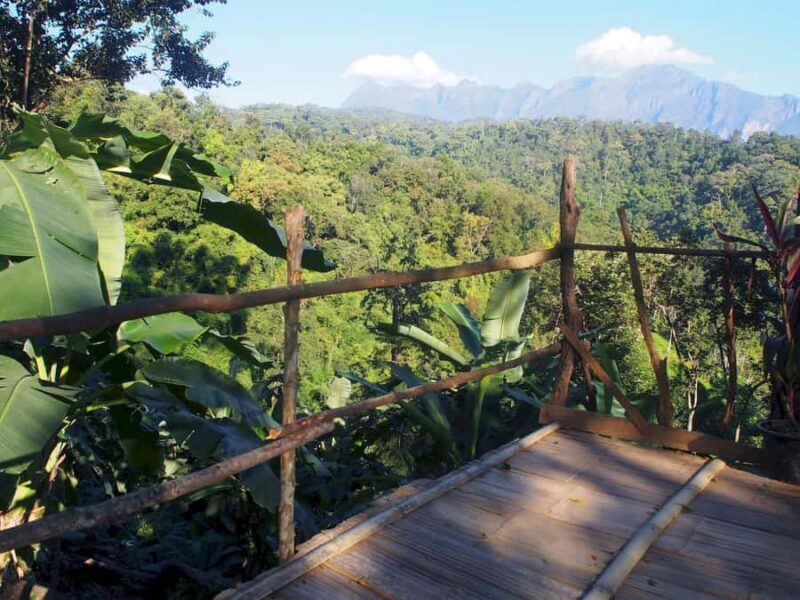 Chiang Mai: Chiang Dao Caves and Jungle Trek with Lunch - FAQ: Your Practical Questions Answered