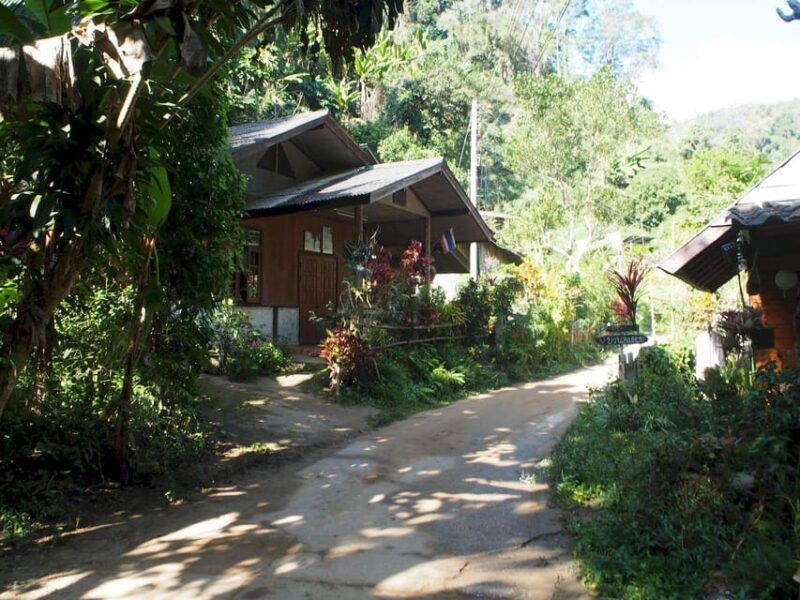 chiang-mai-chiang-dao-caves-and-jungle-trek-with-lunch