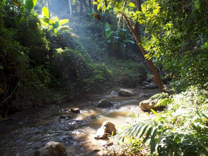 chiang-mai-chiang-dao-caves-and-jungle-trek-with-lunch