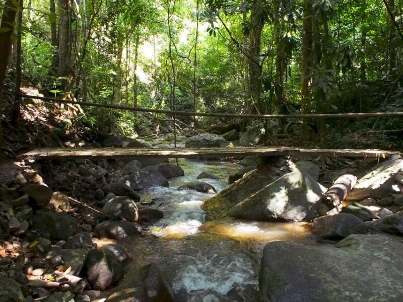 chiang-mai-chiang-dao-caves-and-jungle-trek-with-lunch