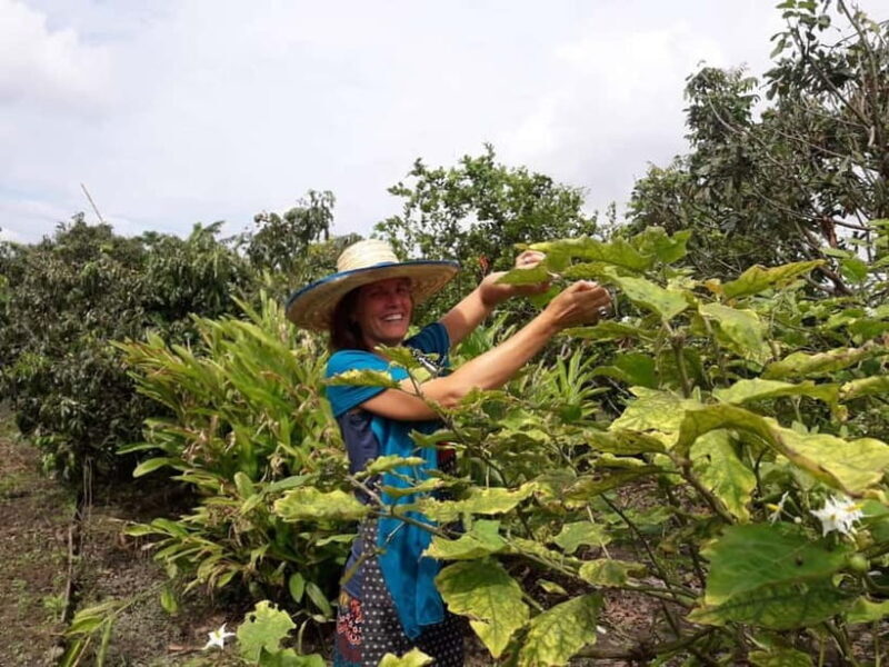 Chiang Mai: Cooking in Organic Farm with a Local Train Trip - Exploring the Itinerary in Detail