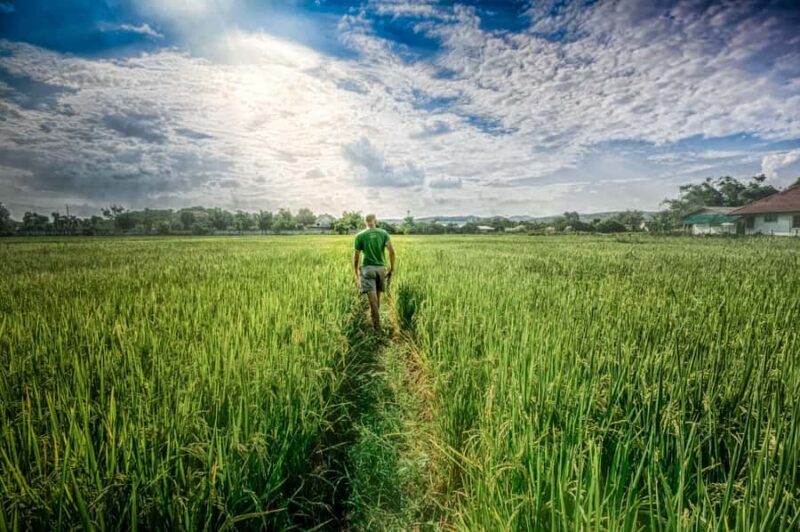 Chiang Mai: Countryside Adventure by Bike - FAQs