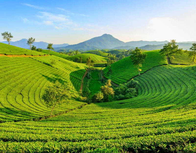 Chiang Mai: Create Your Own Private Chiang Rai Adventure - Who Is This Tour Best For?