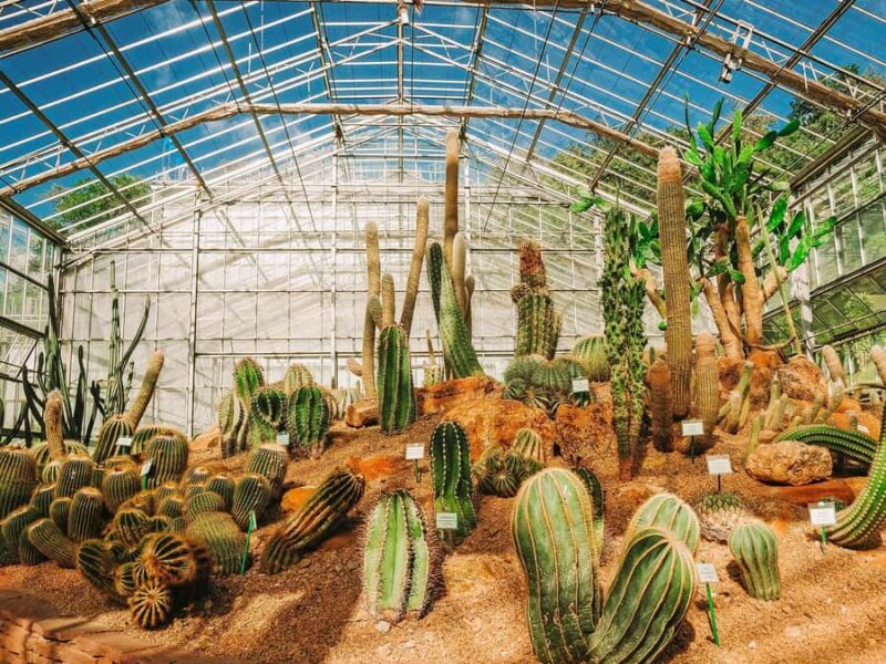 Chiang Mai: Customizable Chiang Mai Surrounding Areas Tour - Who Is This Tour Best For?