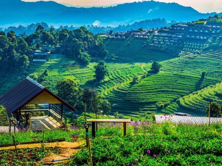 chiang-mai-customizable-chiang-mai-surrounding-areas-tour