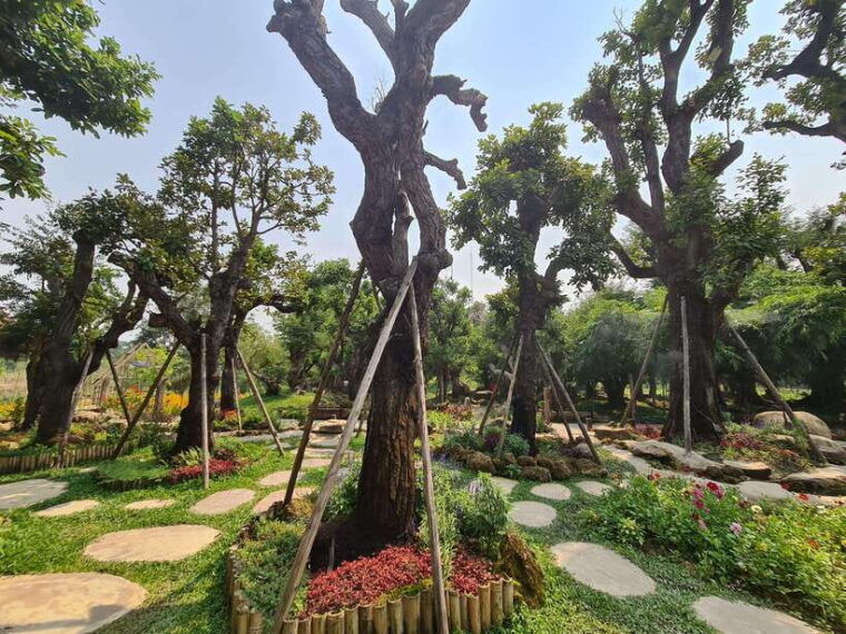 chiang-mai-dantewada-land-of-angels-sticky-waterfall-tour