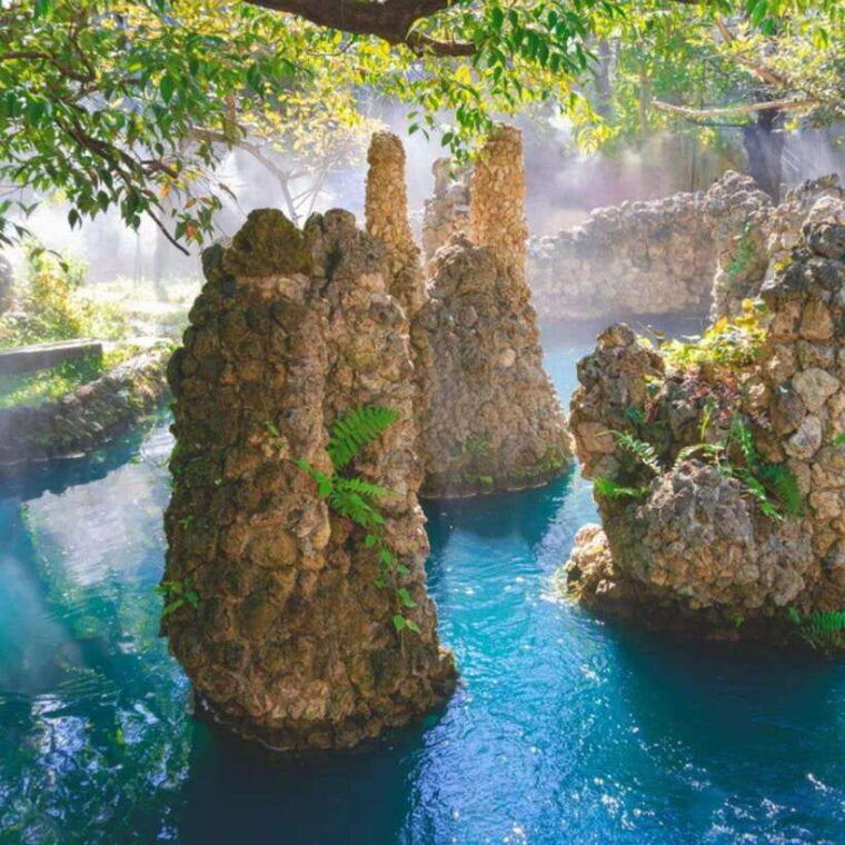 chiang-mai-dantewada-wat-ban-den-temple-cafe-elephant