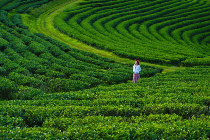 chiang-mai-day-trip-to-chiang-rai-temples-golden-triangle