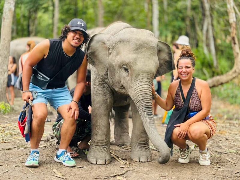 Chiang Mai: Doi Inthanon and Elephant Sanctuary Tour - Exploring Chiang Mai’s Natural Wonders and Cultural Treasures