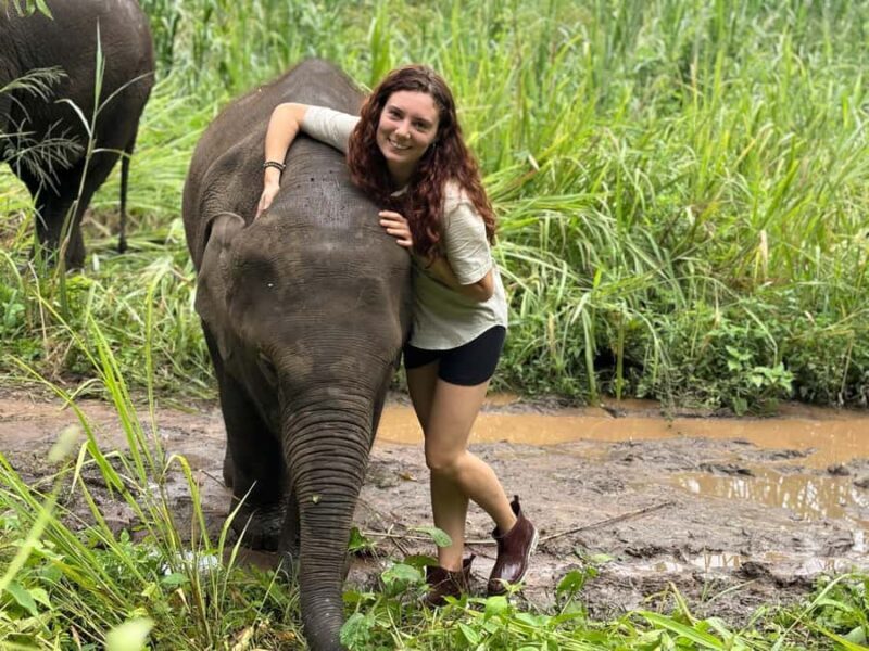 Chiang Mai: Doi Inthanon and Elephant Sanctuary Tour - Final Thoughts