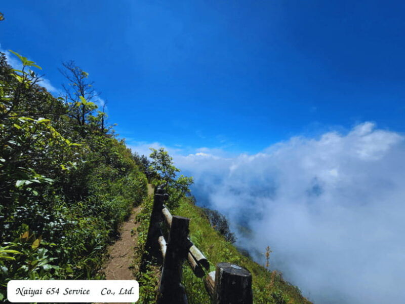 chiang-mai-doi-inthanon-day-tour-with-a-local-by-songthaew