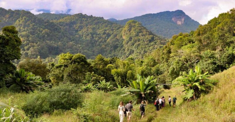 chiang-mai-doi-inthanon-highlights-and-hiking-private-tour