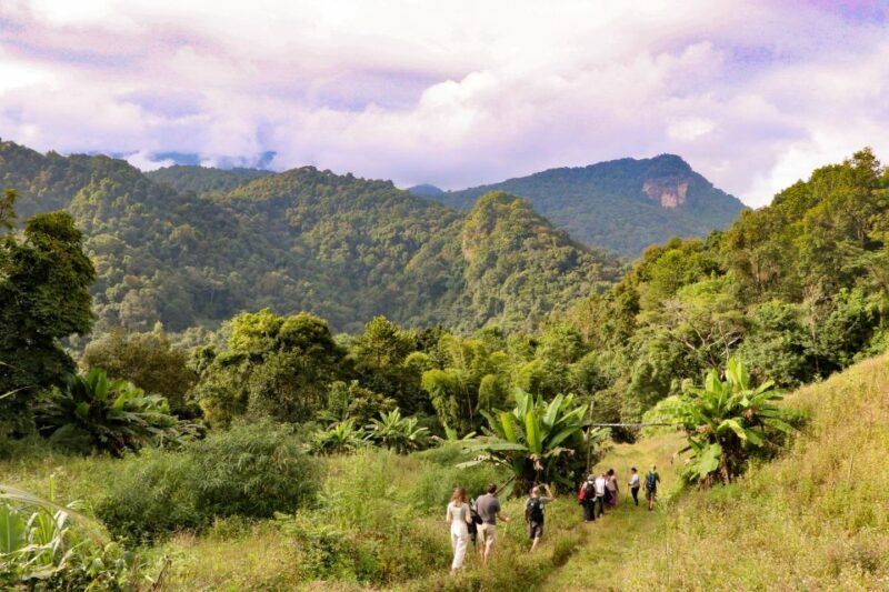 chiang-mai-doi-inthanon-highlights-and-hiking-private-tour