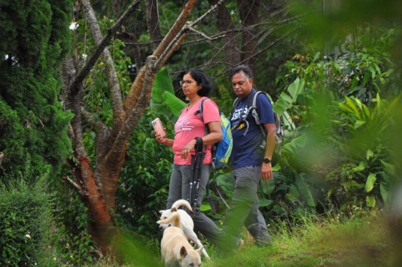 chiang-mai-doi-inthanon-highlights-and-hiking-private-tour