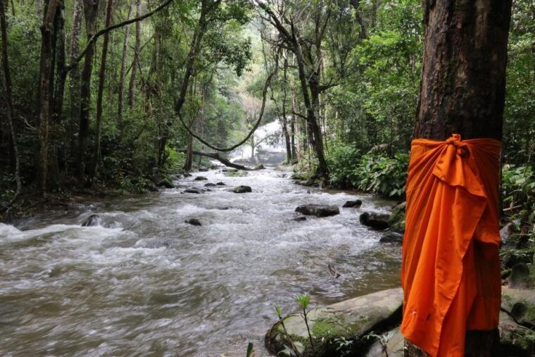 chiang-mai-doi-inthanon-highlights-and-hiking-private-tour