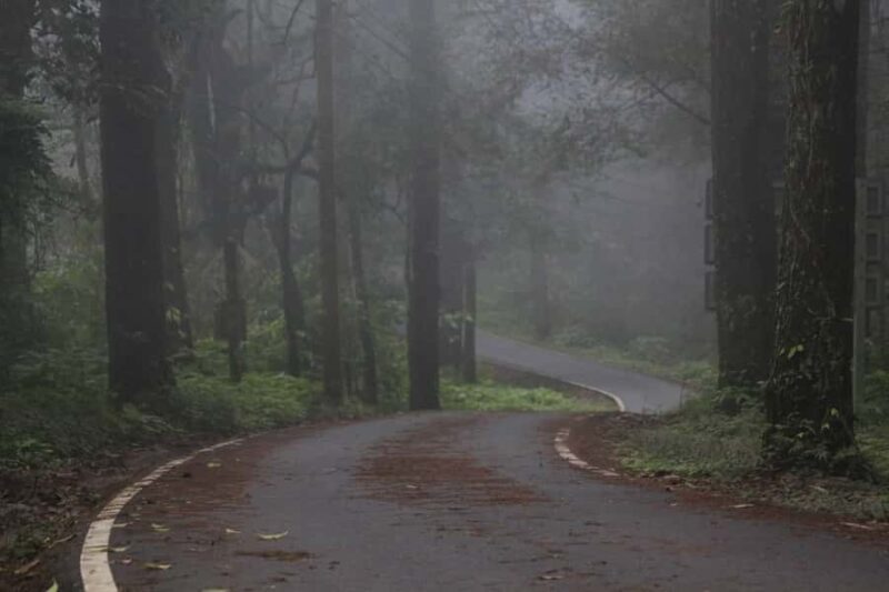 Chiang Mai: Doi Inthanon Hike, Coffee, and Tree Planting - Authentic Experiences and Tips from Reviewers