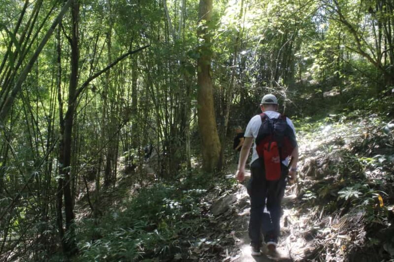 Chiang Mai: Doi Inthanon Hike, Coffee, and Tree Planting - FAQ