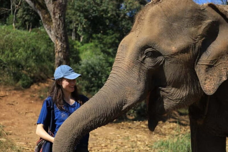 Chiang Mai: Doi Inthanon Hiking Tour & Elephant Care Program - Practical Tips for Your Day Out