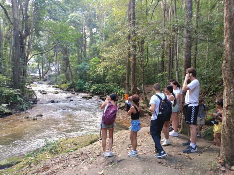 Chiang Mai: Doi Inthanon Hiking Tour & Elephant Care Program - Final Thoughts