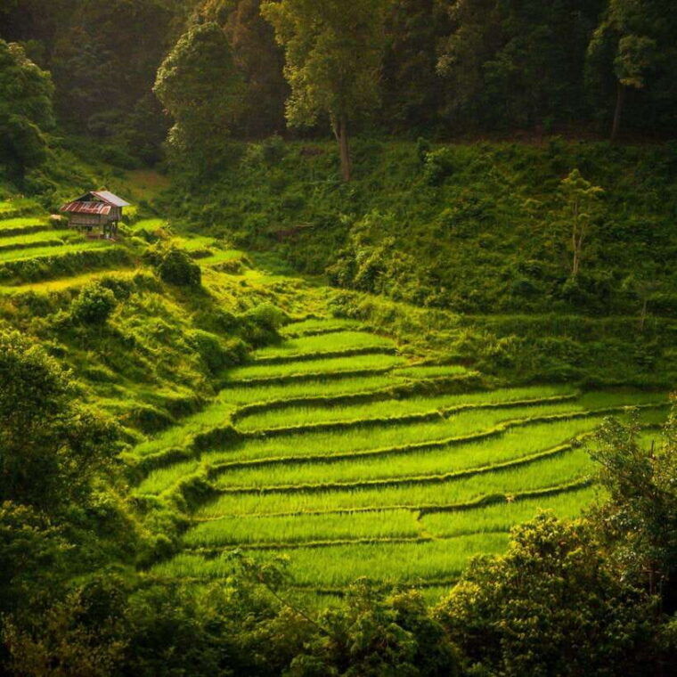 chiang-mai-doi-inthanon-national-park-day-tour-with-lunch