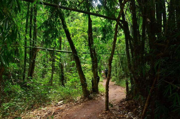 chiang-mai-doi-inthanon-national-park-private-tour