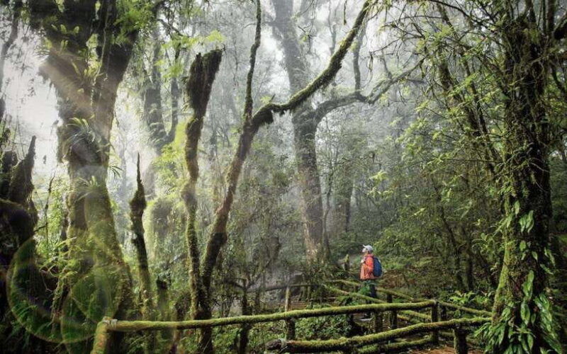 chiang-mai-doi-inthanon-national-park-sightseeing-only