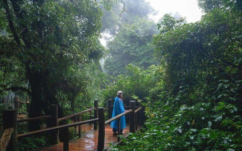 chiang-mai-doi-inthanon-national-park-sightseeing-only