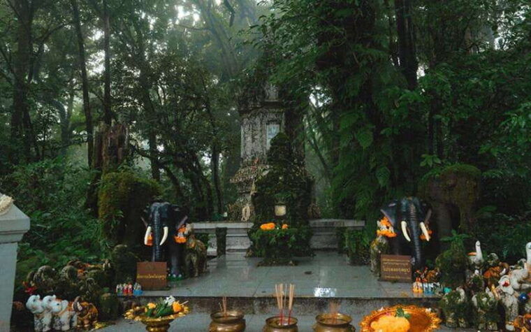 chiang-mai-doi-inthanon-national-park-sightseeing-only