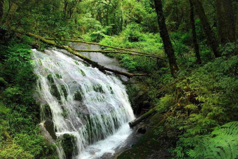 chiang-mai-doi-inthanon-national-park-waterfall-lunch