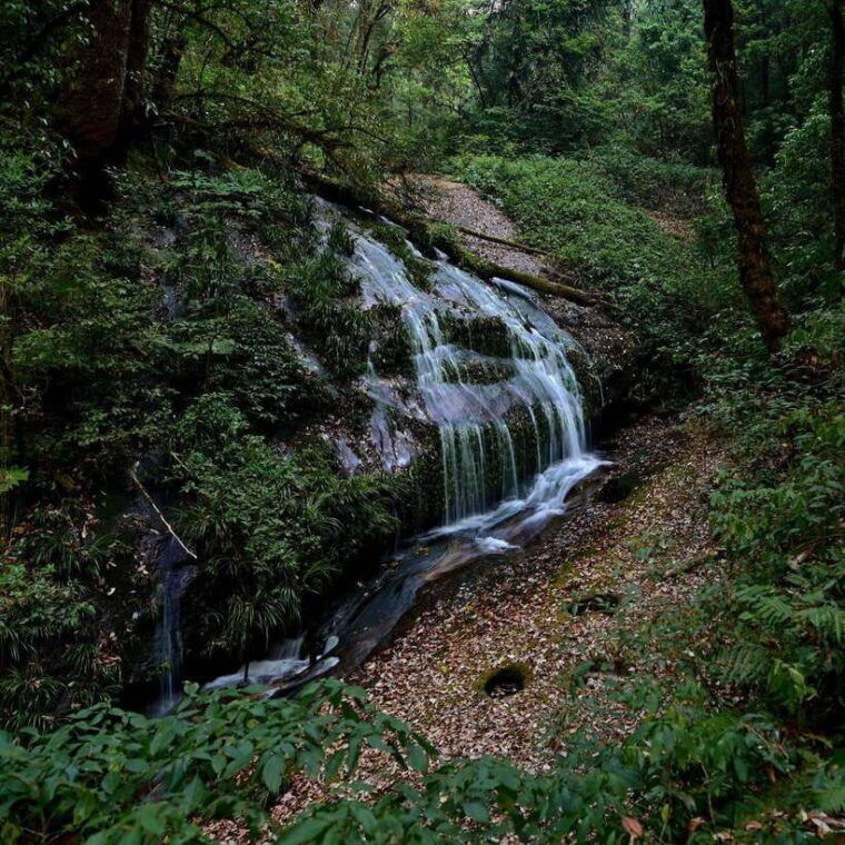 chiang-mai-doi-inthanon-national-park-waterfall-lunch