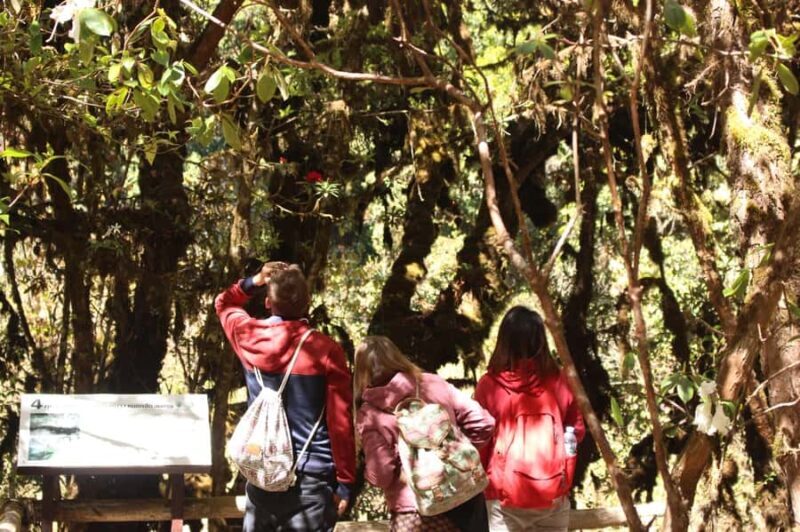 Chiang Mai: Doi Inthanon National Park with Ticket & Lunch - In Closing