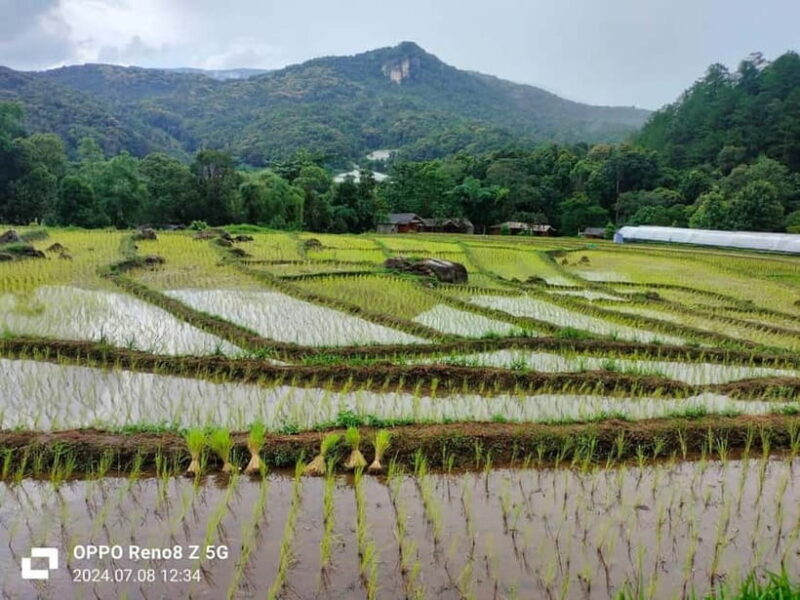 Chiang Mai: Doi Inthanon National Park+Trek Pha Dok Siew - FAQ