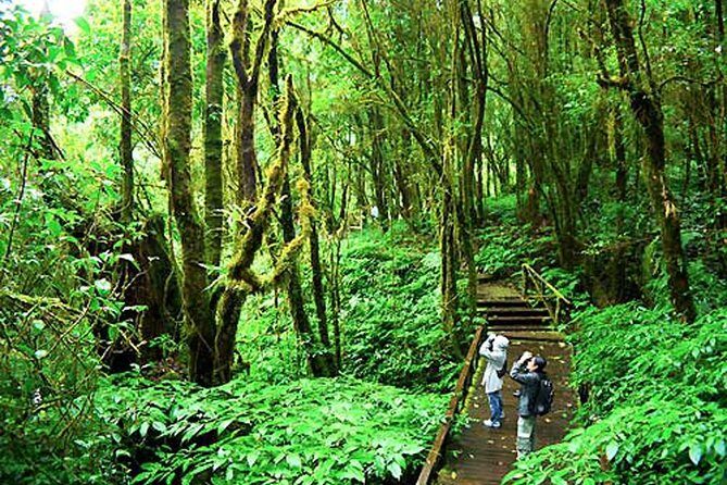 CHIANG MAI: Doi Inthanon NationPark-Royal Project-Waterfall-Lunch - An In-Depth Look at the Doi Inthanon Tour Experience