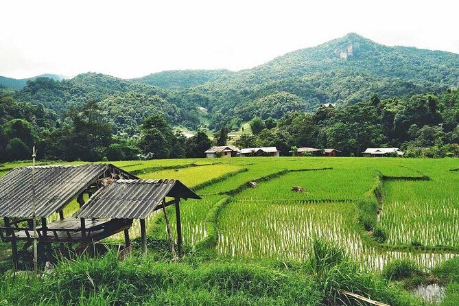 CHIANG MAI: Doi Inthanon NationPark-Royal Project-Waterfall-Lunch - Who This Tour is Perfect For