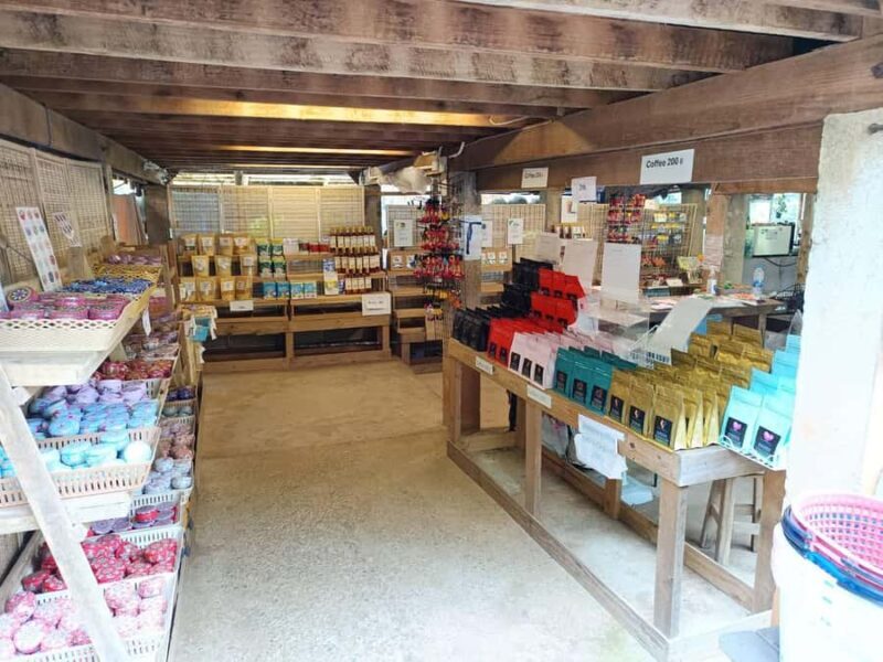 Chiang Mai: Doi Inthanon One-Day Tour with a Private Driver - Key Points