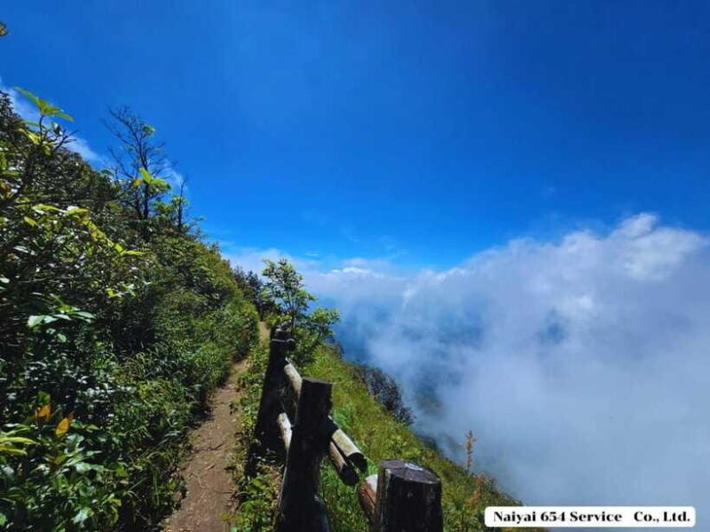 Chiang Mai: Doi Inthanon One-Day Tour with a Private Driver - Who Should Consider This Tour?