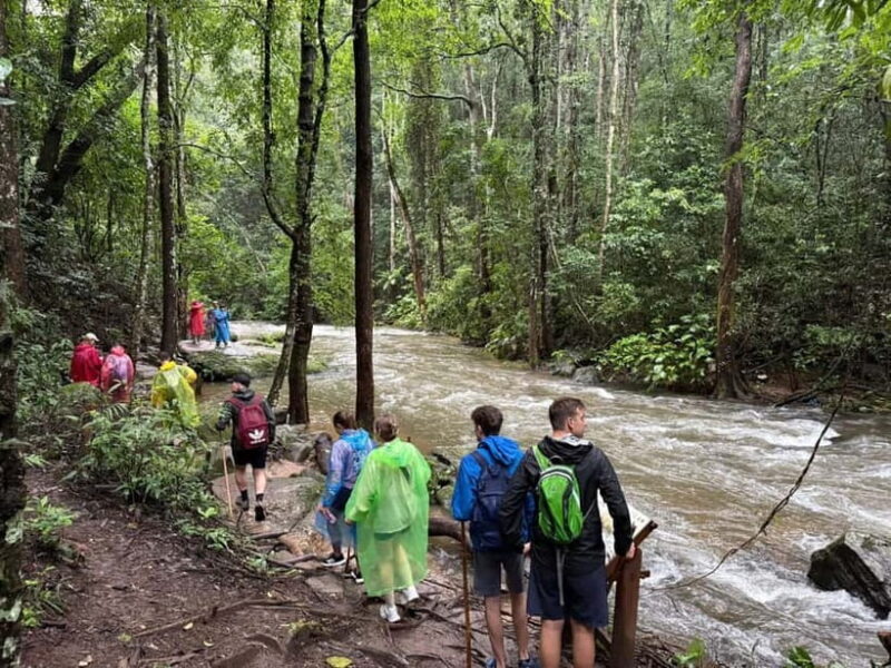 Chiang Mai: Doi Inthanon Park & 2 Hrs Trekking Pha Dok Siew - Key Points