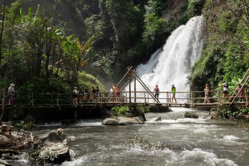 Chiang Mai: Doi Inthanon Park & 2 Hrs Trekking Pha Dok Siew - The Pha Dok Siew Trail: A 2.6 km Trek Through Nature