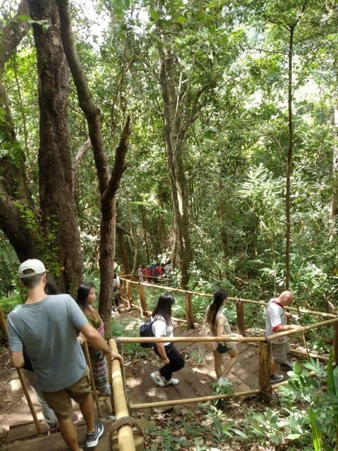 chiang-mai-doi-inthanon-park-and-pha-dok-siew-hike-day-trip