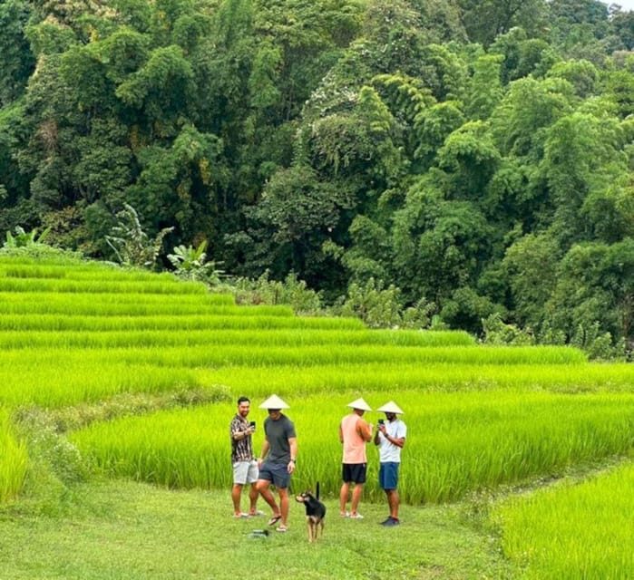 Chiang Mai: Doi Inthanon Park and Pha Dok Siew Trail Trek - FAQ