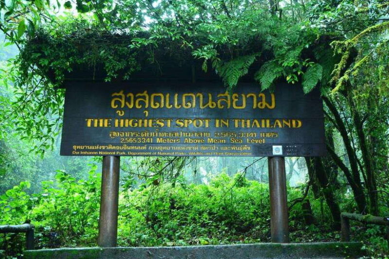 chiang-mai-doi-inthanon-park-tour-kew-mae-pan-trail-hike