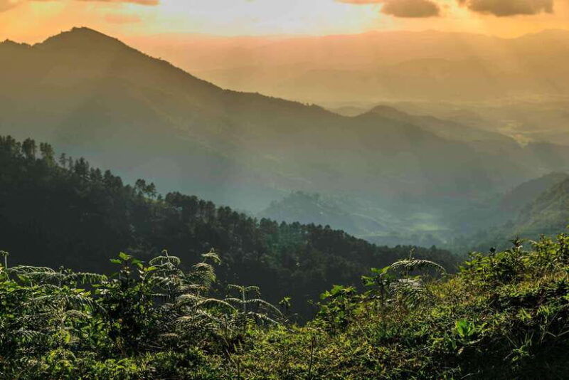 chiang-mai-doi-inthanon-park-tour-kew-mae-pan-trail-hike