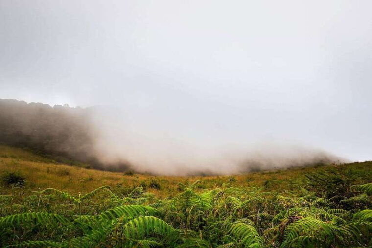 chiang-mai-doi-inthanon-park-tour-kew-mae-pan-trail-hike